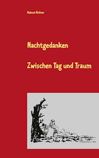 Nachtgedanken 2020 - Helmut Richter - E-Book