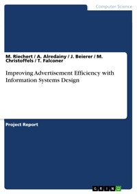 Improving Advertisement Efficiency with Information Systems Design - M. Riechert - E-Book
