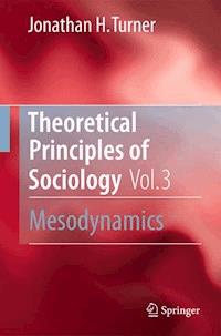 Theoretical Principles of Sociology, Volume 3 - Jonathan H. Turner - E-Book