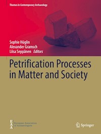 Petrification Processes in Matter and Society - - E-Book
