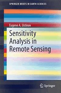 Sensitivity Analysis in Remote Sensing - Eugene A. Ustinov - E-Book