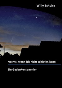 Nachts, wenn ich nicht schlafen kann - Willy Schulte - E-Book