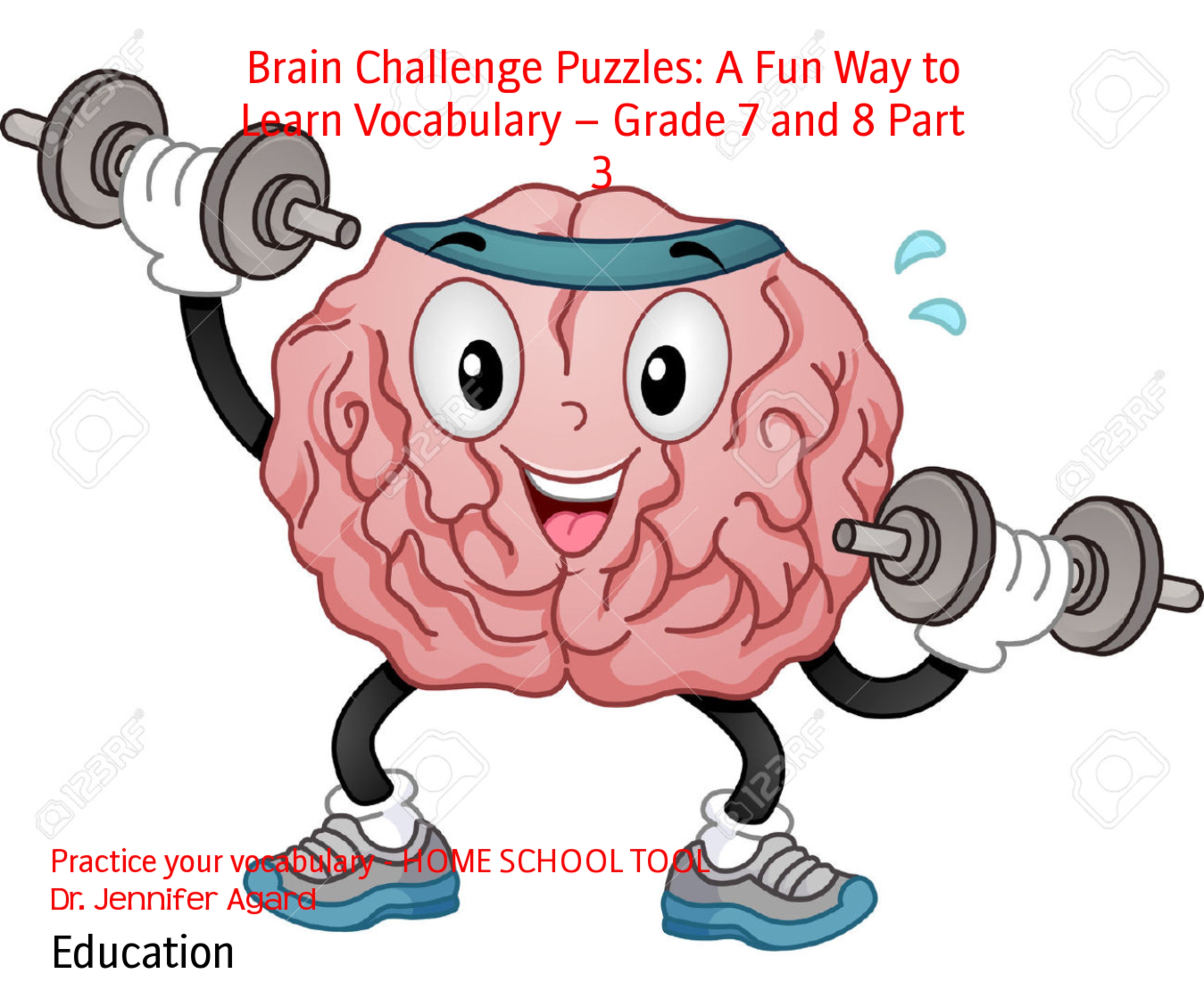 Brain Challenge Puzzles: A Fun Way to Learn Vocabulary – Grade 7 and 8 Part 3 - Dr. Jennifer Agard - E-Book