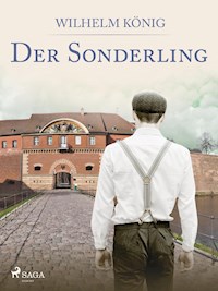 Der Sonderling - Wilhelm König - E-Book