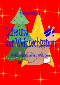 Luise und der Weihnachtsstern - Barbara Bilgoni - E-Book