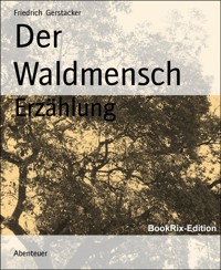 Der Waldmensch - Friedrich Gerstäcker - E-Book