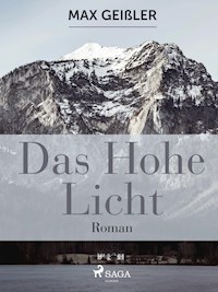 Das hohe Licht - Max Geißler - E-Book