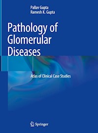 Pathology of Glomerular Diseases - Pallav Gupta - E-Book