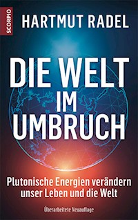 Die Welt im Umbruch - Hartmut Radel - E-Book