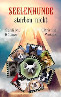 Seelenhunde sterben nicht - Gerdi M. Büttner - E-Book