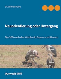 Neuorientierung oder Untergang - Wilfried Rabe - E-Book