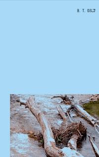 Treibgut - B.T. Gold - E-Book