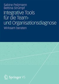 Integrative Tools für die Team- und Organisationsdiagnose - Sabine Pelzmann - E-Book