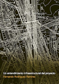 Un entendimiento infraestructural del proyecto - Fernando Rodriguez Ramirez - E-Book