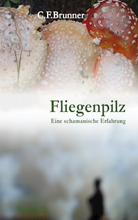 Fliegenpilz - Christian Friedrich Brunner - E-Book