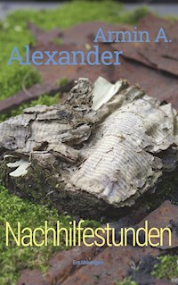 Nachhilfestunden - Armin A. Alexander - E-Book