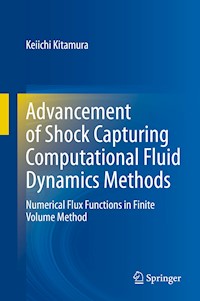 Advancement of Shock Capturing Computational Fluid Dynamics Methods - Keiichi Kitamura - E-Book