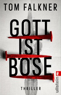 Gott ist böse - Tom Falkner - E-Book