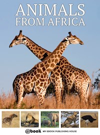 Animals from Africa - My Ebook Publishing House - E-Book