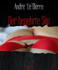 Der begehrte Slip - Andre Le Bierre - E-Book
