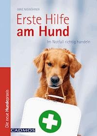 Erste Hilfe am Hund - Imke Niewöhner - E-Book
