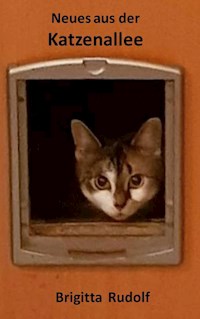 Neues aus der Katzenallee - Brigitta Rudolf - E-Book