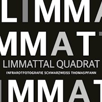 Limmattal Quadrat - Thomas Pfann - E-Book