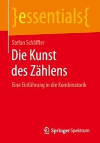 Die Kunst des Zählens - Stefan Schäffler - E-Book
