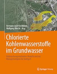 Chlorierte Kohlenwasserstoffe  im Grundwasser -  - E-Book