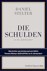 Die Schulden im 21. Jahrhundert - Daniel Stelter - E-Book