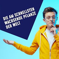 Folge 13: Die am schnellsten wachsende Pflanze der Welt -  - Hörbuch