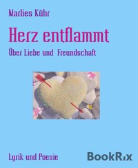 Herz entflammt - Marlies Kühr - E-Book
