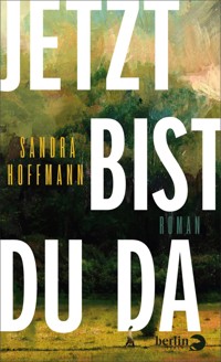 Jetzt bist du da - Sandra Hoffmann - E-Book