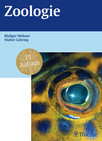 Zoologie - Rüdiger Wehner - E-Book