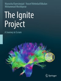 The Ignite Project - Niyousha Raeesinejad - E-Book