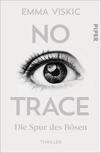 No Trace – Die Spur des Bösen - Emma Viskic - E-Book