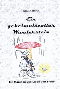 Ein geheimnisvoller Wunderstein - Wilma Burk - E-Book