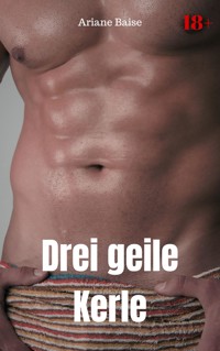 Drei geile Kerle - Ariane Baise - E-Book