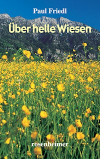 Über helle Wiesen - Paul Friedl - E-Book
