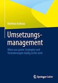 Umsetzungsmanagement - Matthias Kolbusa - E-Book
