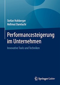 Performancesteigerung im Unternehmen - Stefan Hohberger - E-Book