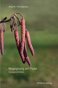 Begegnung am Fluss - Jörg M. Pönnighaus - E-Book
