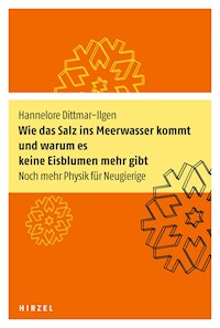 Wie das Salz ins Meerwasser kommt und warum es keine Eisblumen mehr gibt - Hannelore Dittmar-Ilgen - E-Book