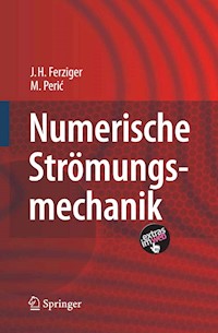 Numerische Strömungsmechanik - Joel H. Ferziger - E-Book