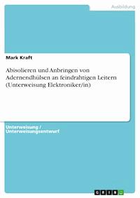 Abisolieren und Anbringen von Adernendhülsen an feindrahtigen Leitern (Unterweisung Elektroniker/in) - Mark Kraft - E-Book