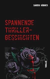 Spannende Thriller-Geschichten - Sandro Hübner - E-Book