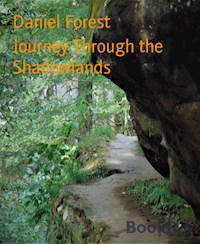 Journey Through the Shadowlands - Daniel Forest - E-Book