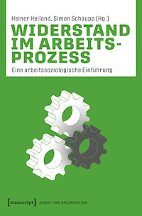 Widerstand im Arbeitsprozess -  - kostenlos E-Book