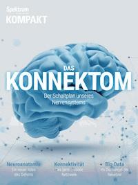 Spektrum Kompakt - Das Konnektom - - E-Book