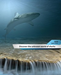 Discover the unknown world of sharks! - Christos Taklis - E-Book